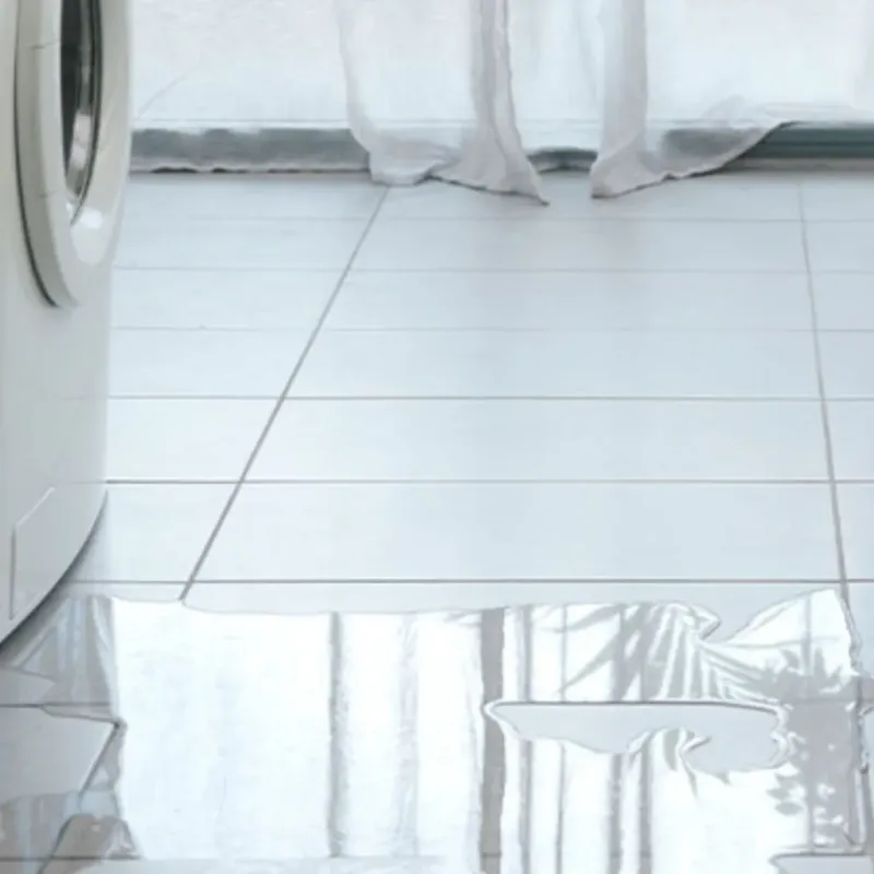 Appliance Leak Cleanup in Hopkins County, KY