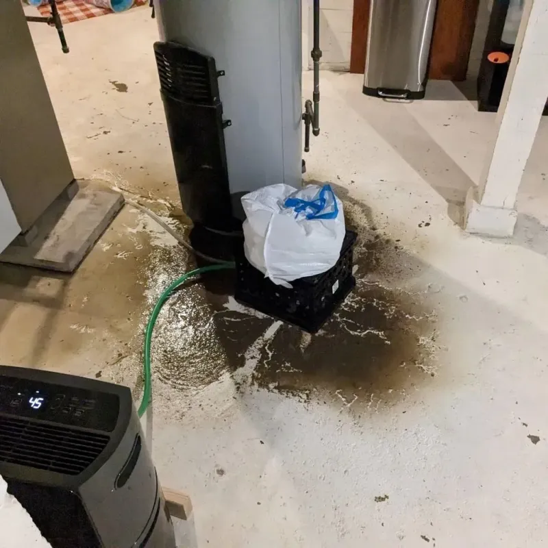 Sewage Backup Cleanup Service in Hopkins County, KY